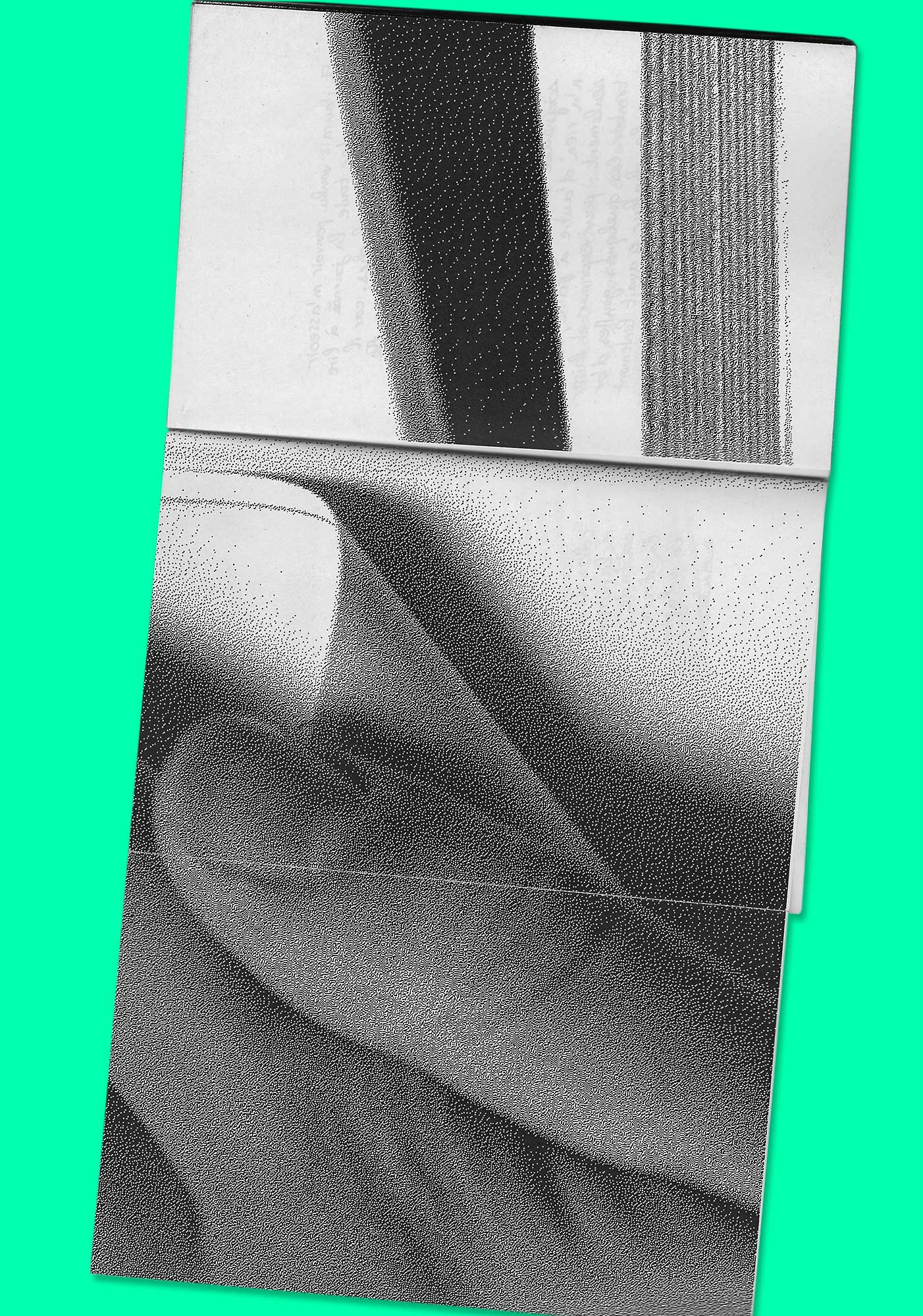 Pour ne citer qu'eux